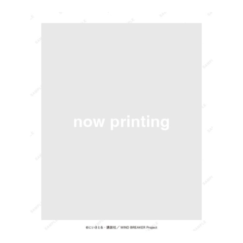 [24년 12월 발매] 윈드 브레이커 팝업 한정 공식 A3 클리어 포스터 - 카지 렌 (윈브레 애니 공식 굿즈) ~24/07/15
